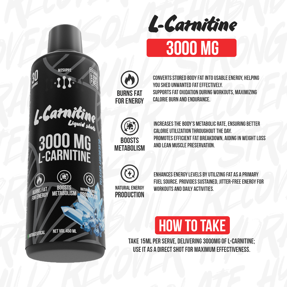 L-CARNITINE (3000 mg)