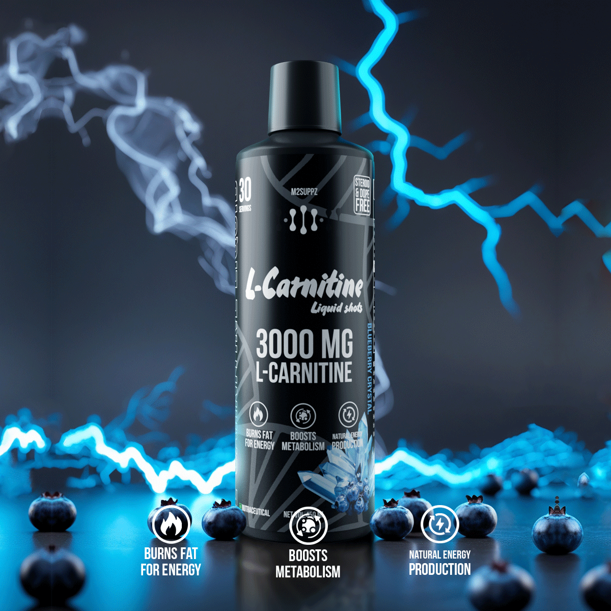 L-CARNITINE (3000 mg)